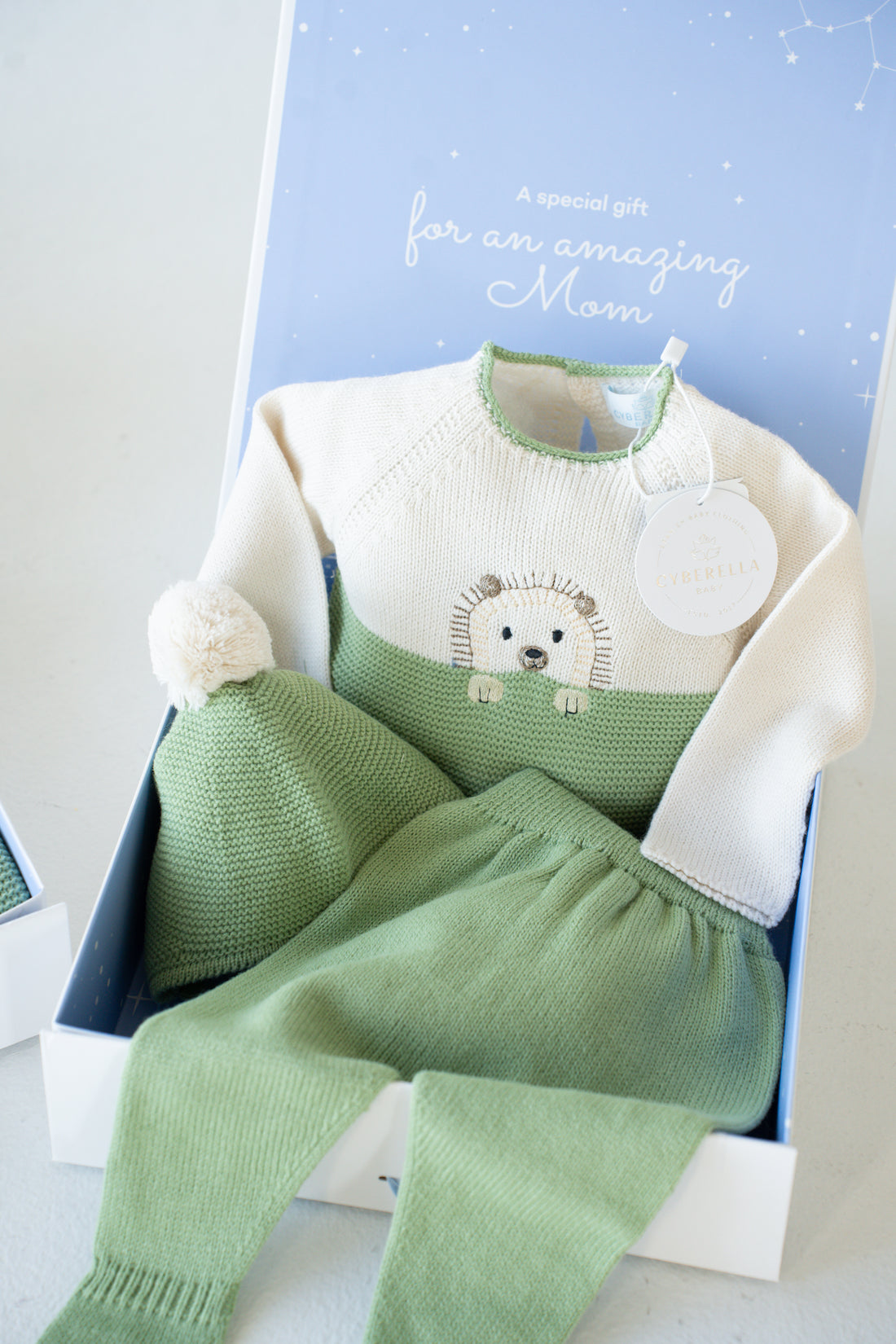 Green Woodland Hedgehog knitted Set - 9813
