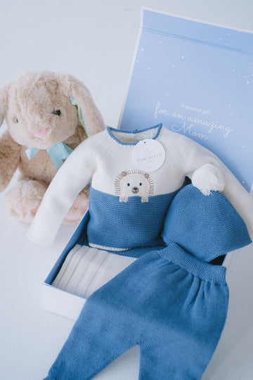 Woodland Hedgehog knitted Set - 9813